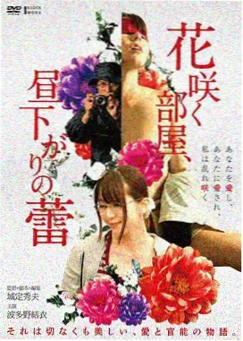 星际漫游海报